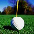 Tiger Woods Online